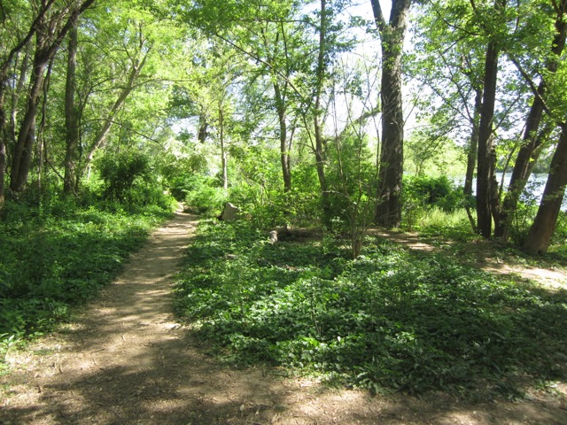 Great Siplock Park/Chapel Island Study Area Map