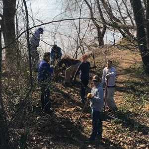 volunteers working