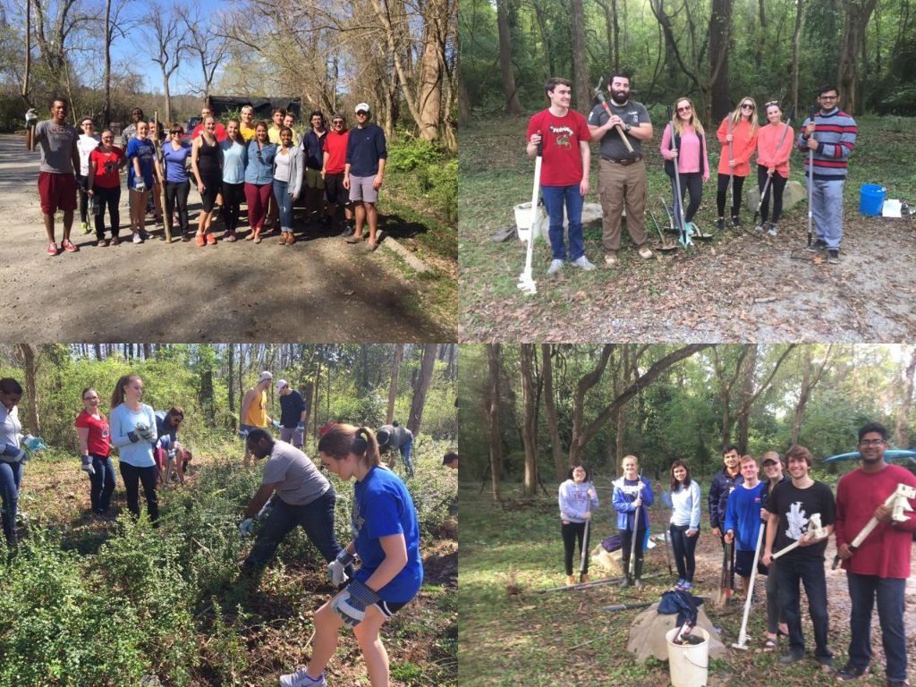 Classes and volunteers work together to clear invasive species from Huguenot Flatwate