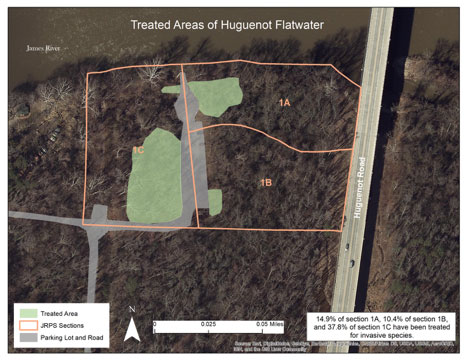 Areas now cleared of invasive plants