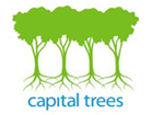 Capital Trees