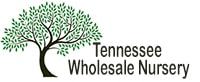 Tennessee Wholesale Nursery