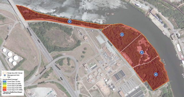 Ancarrow's Landing/Manchester Slave Dock Study Area Map
