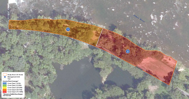 Riverside Meadow Study Area Map