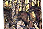 Gallop Fragment #1 and Gallop Fragment #2