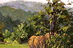 country morning