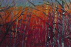 thru the trees
