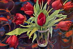 red tulips