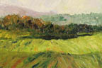 fields