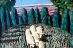seven sheep