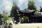 Chinese Garden