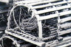 Lobster Pots