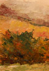 Pathway in the Autumn Mountains