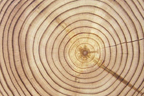 Radius