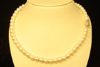 Pathway in the APearl Necklace